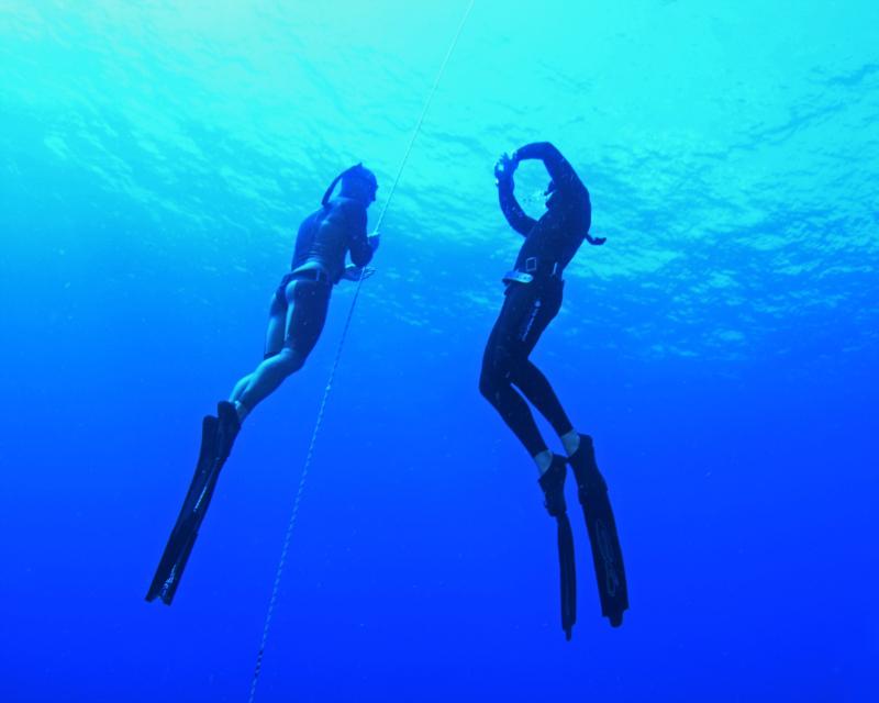 Free Diving Instructors,Dive Fit