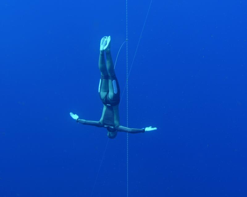 Free Diving Instructors,Dive Fit