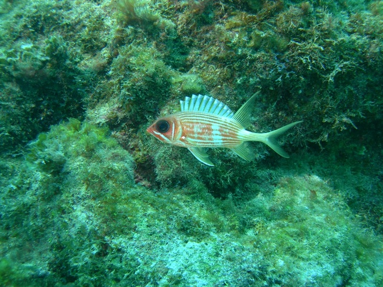 Grand Cayman 2006
