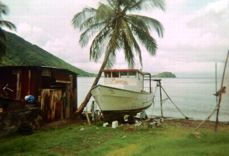 Dominica 2005