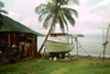 Dominica 2005