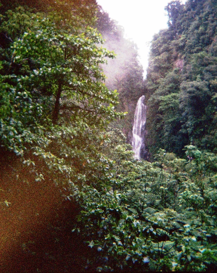 Dominica 2005