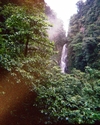 Dominica 2005