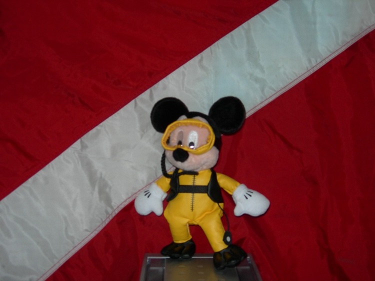 Diving Mickey