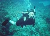Diving in St George