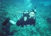 Diving in St George