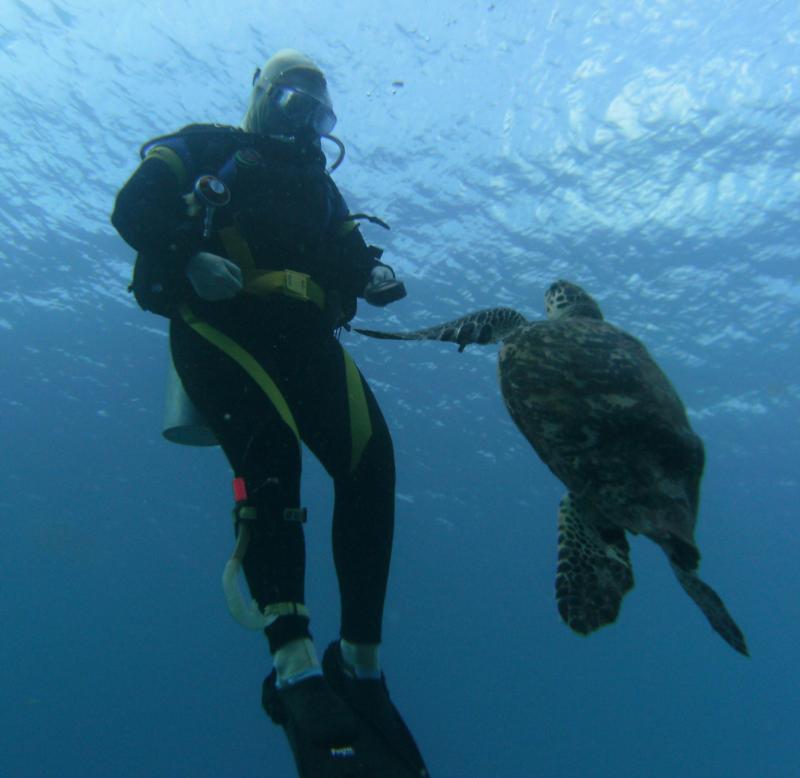 Hawksbill chasing me in Bonaire