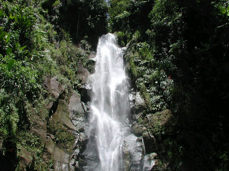 Dominica- Trafalgar falls