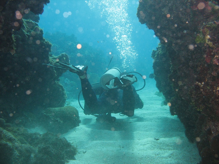 Who is that diver with perfect buoyancy?