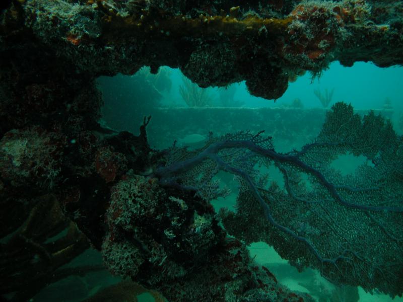 Sombrero Reef 