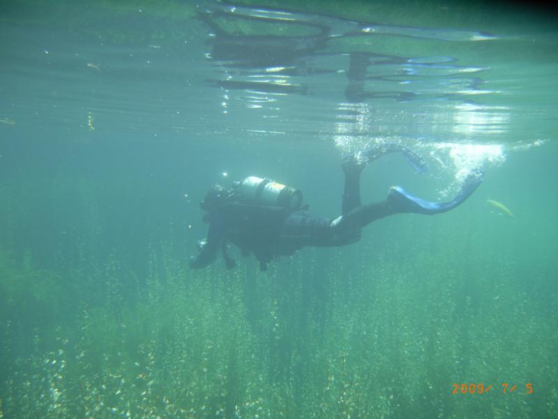 Taking pics of the Koi at Dutch Springs