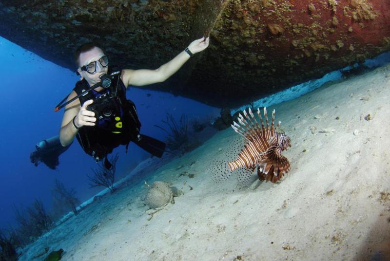 Lionfish