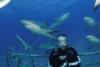 Shark Dive