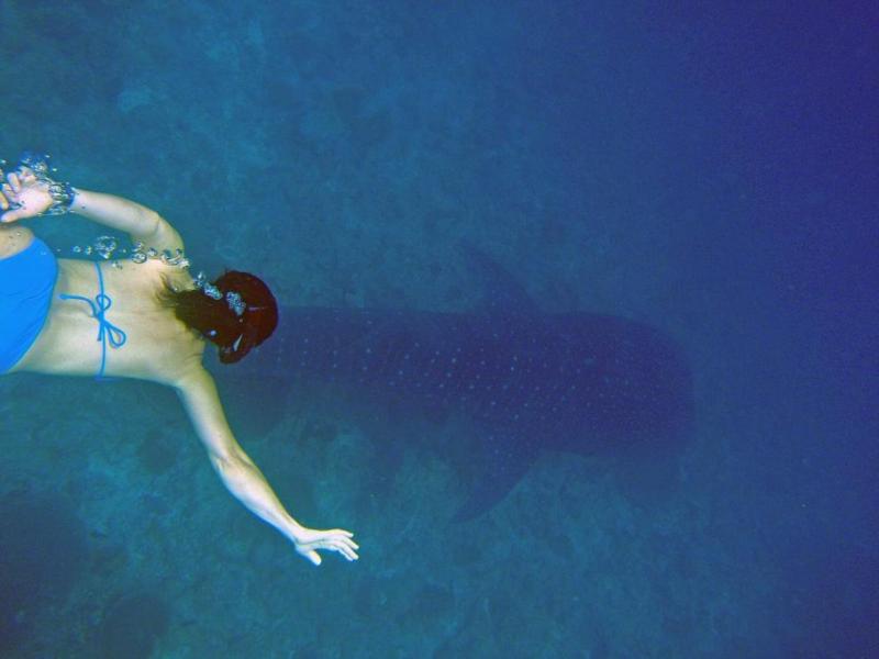 Lisa and Whale shark