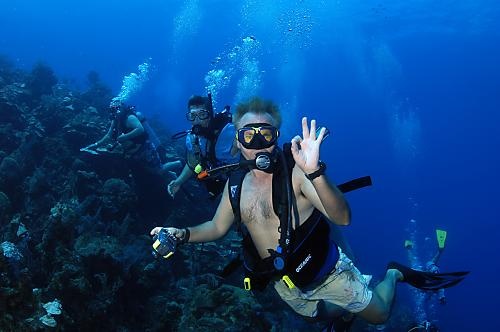 Wall dive in Nassau bahamas