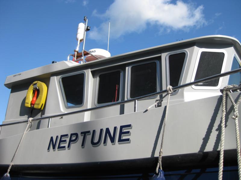 neptune dover