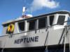 neptune dover