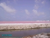 Pink Beach  Bonaire NA