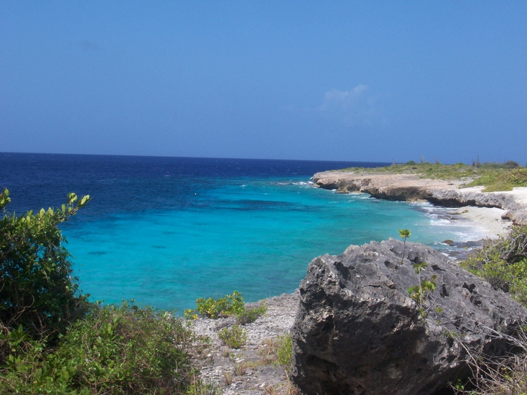 Bonaire Local