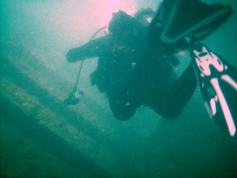 diver decending upon the carferry 2