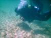 scuba tank diver at haigh