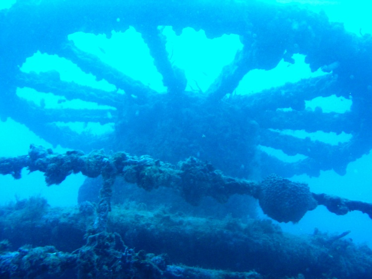 Thunderbolt Wreck, Florida Keys