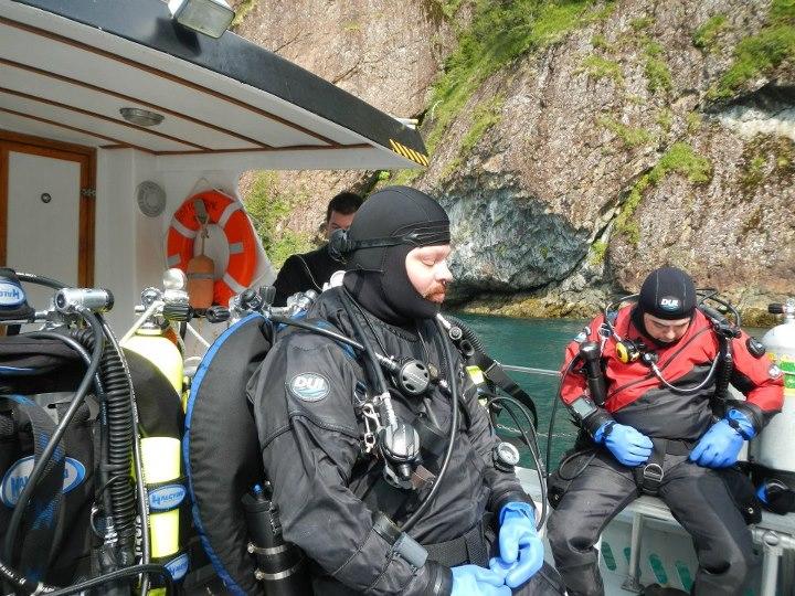 Seward diving