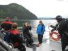 Seward diving