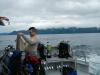 Seward diving