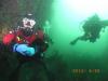 Seward diving