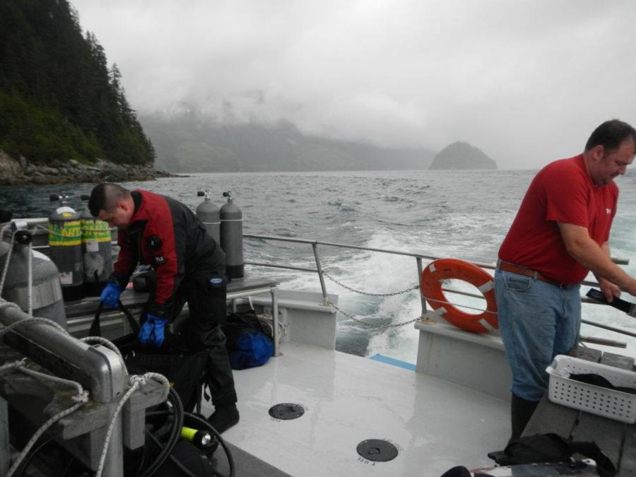 Seward diving