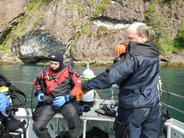 Seward diving