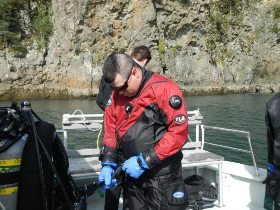 Seward diving