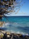  Barbados