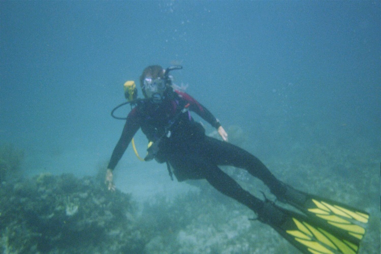 Lets dive....