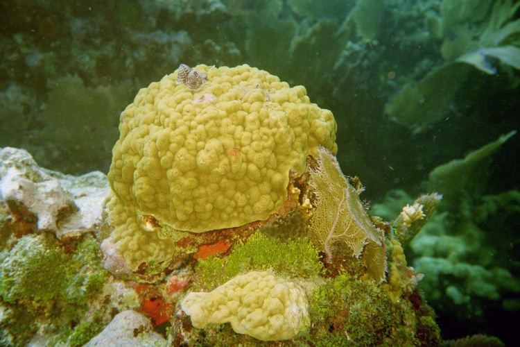 Key Largo