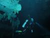 Mexico Cave Dive 2