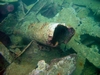 Pendernales Wreckage