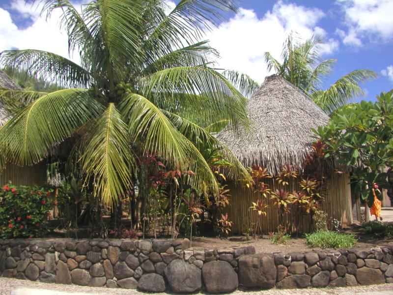 Raiatea Huts