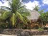 Raiatea Huts