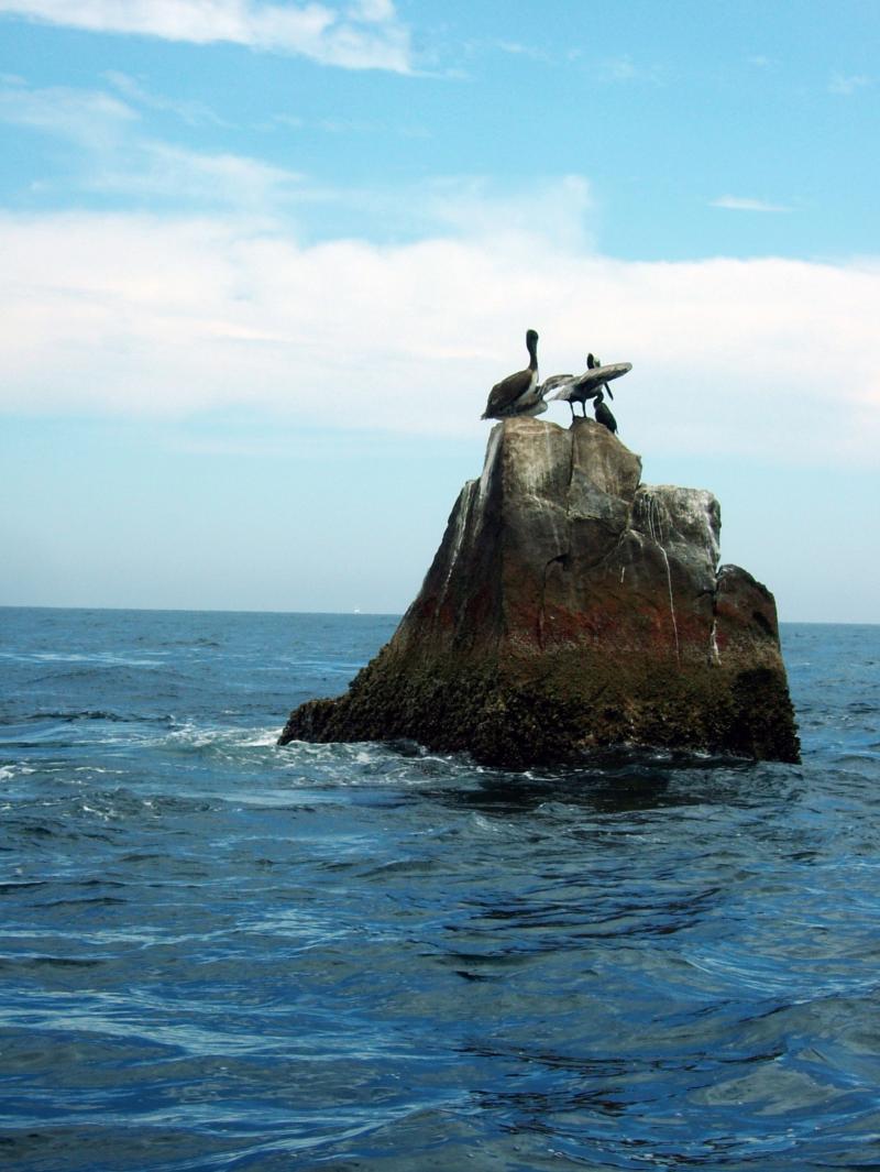 Cabo Pelican Island