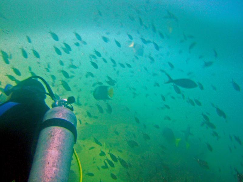 Cabo Pelican Island