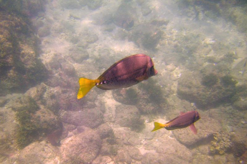  Cabo Santa Maria Cove