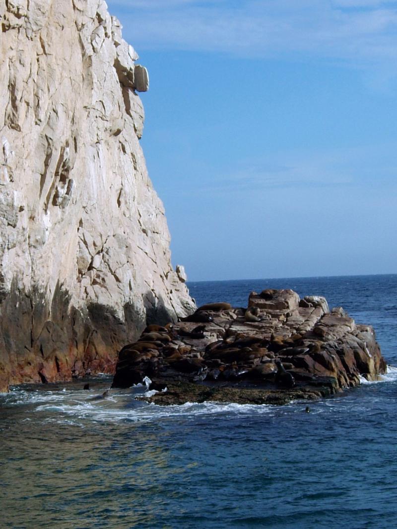 Cabo Seal Island