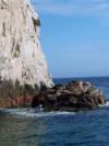 Cabo Seal Island