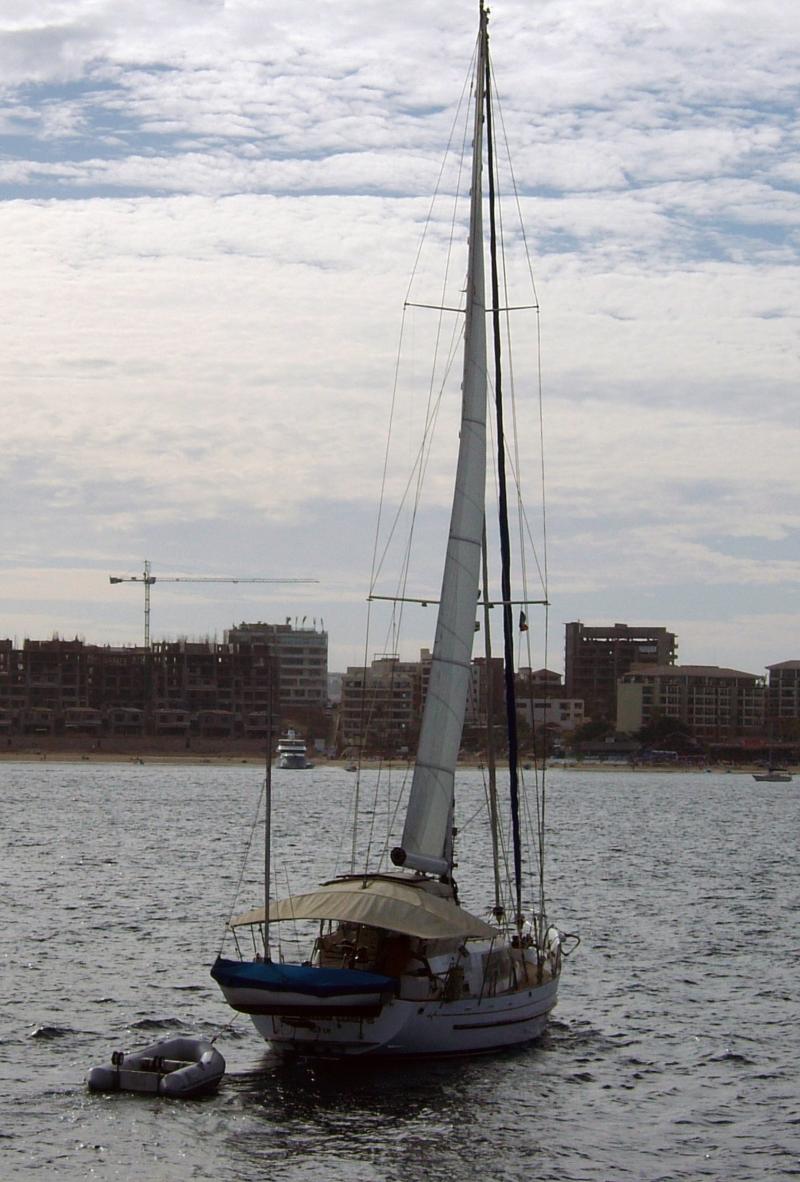 Cabo Sailboat