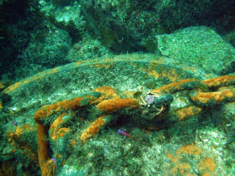 Casino Point Dive Park Catalina CA.