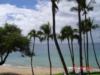MAUI