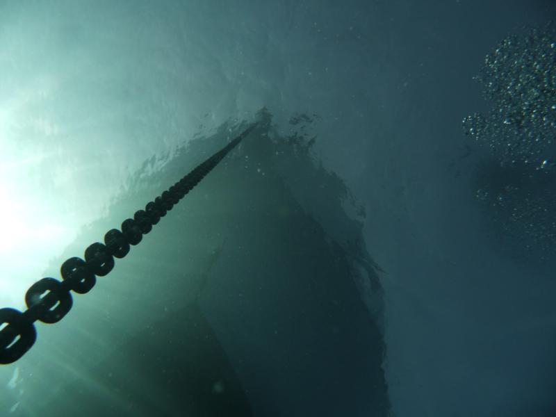 looking up at the cee ray from about 30ft down.