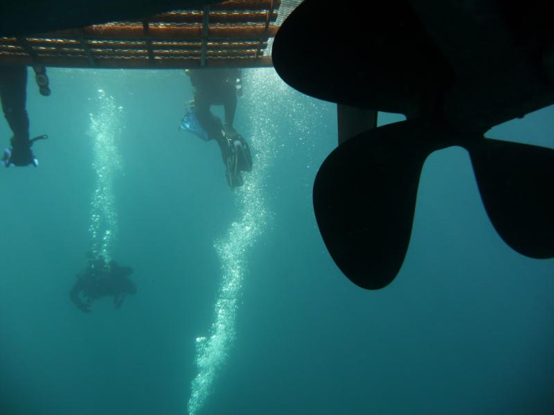 just chillin and being a creeper under the boat